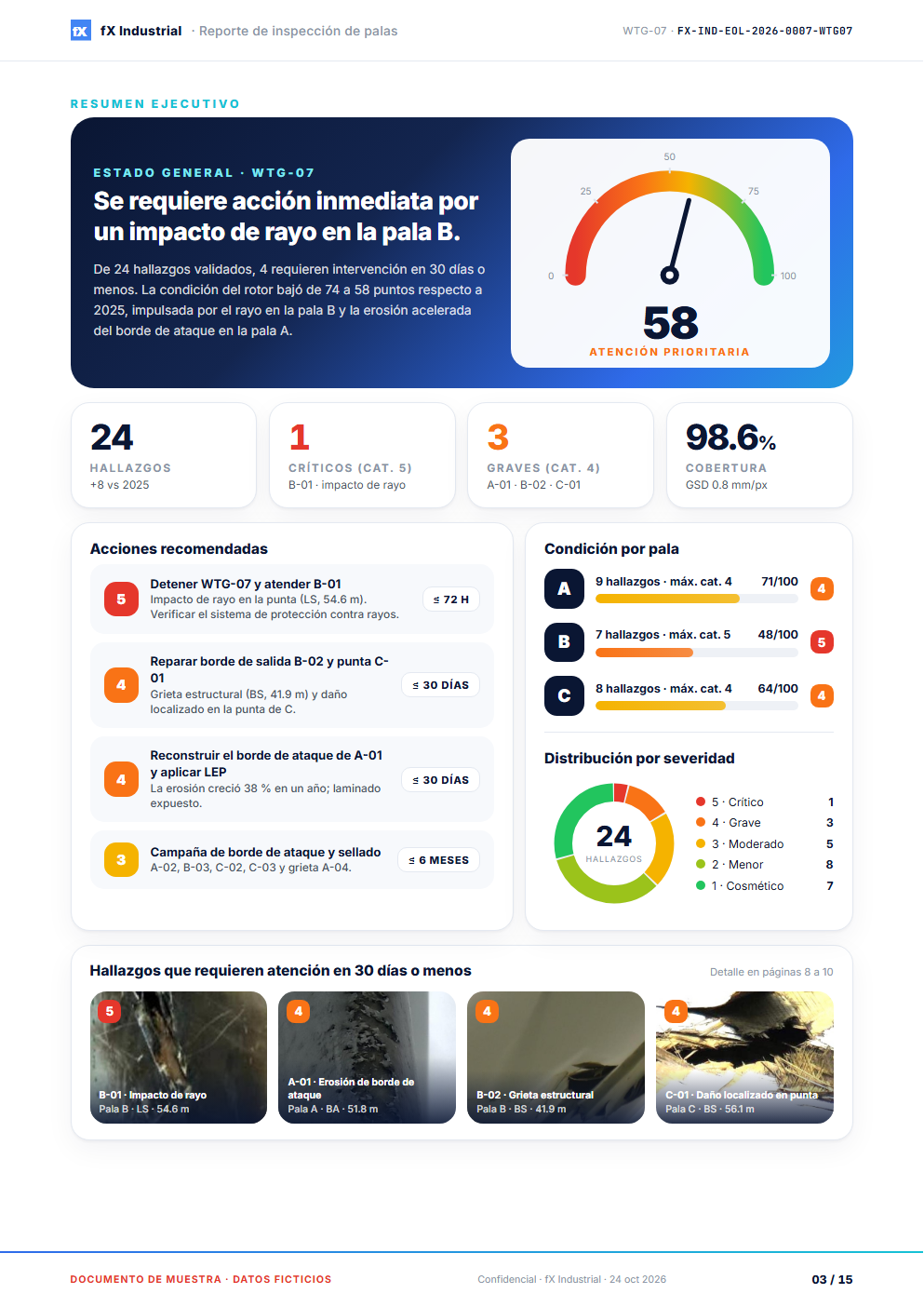 Resumen ejecutivo del reporte
